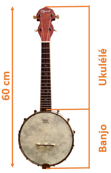 banjo ukulélé